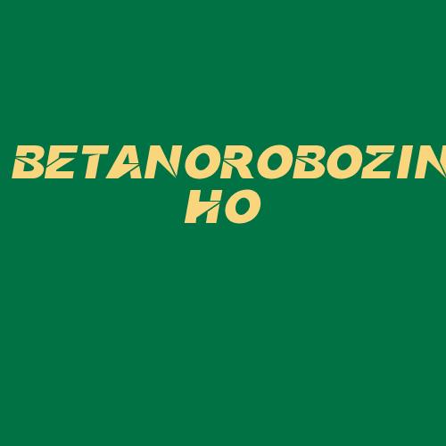 Logo da BETANOROBOZINHO